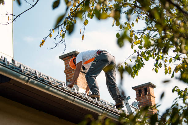 Best Residential Roofing Contractor  in Frederickson, WA